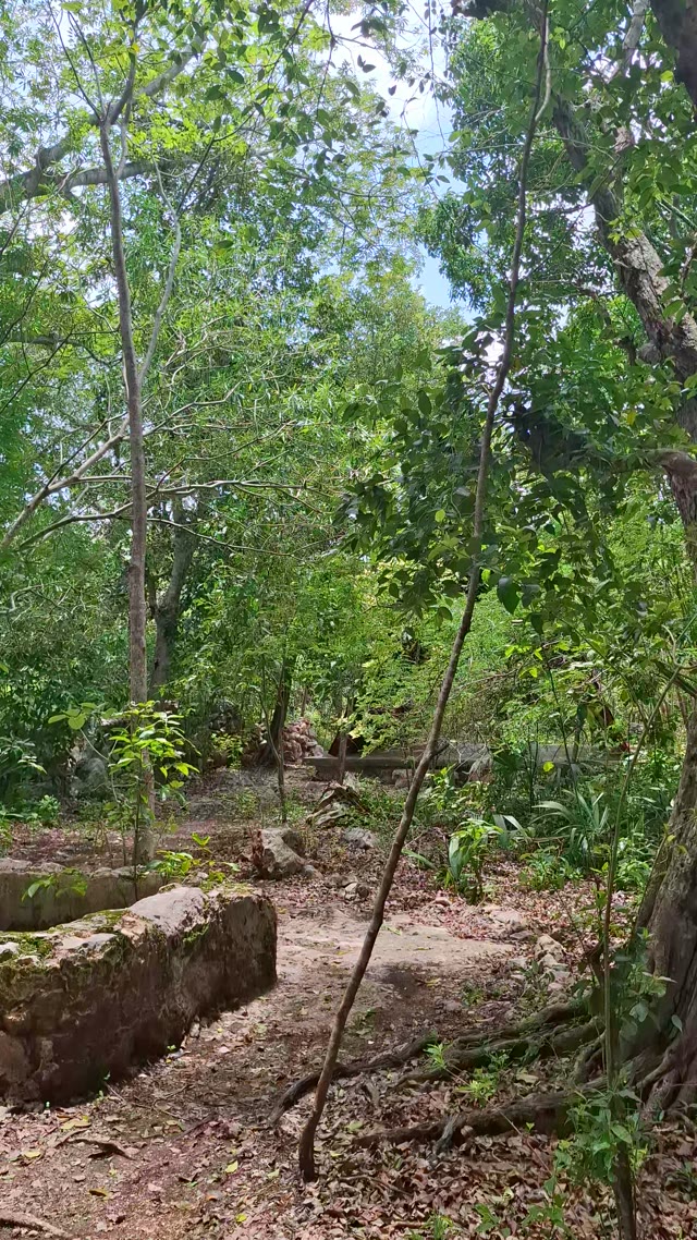 Video 1